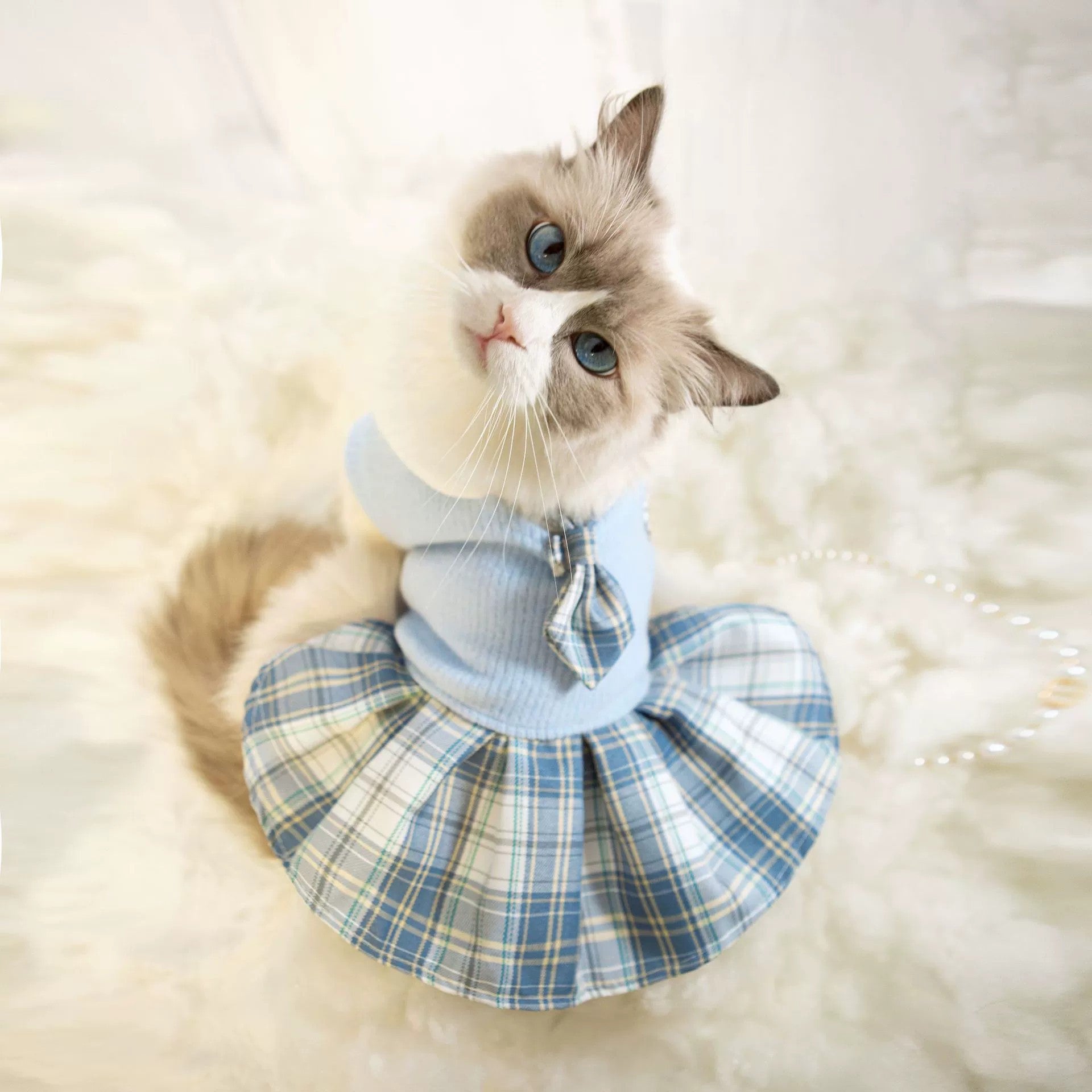 Giftwowo Dog and Cat Clothes, Knitted JK Plaid Dress for Small Pets, Spring and Autumn Comfortable Pet Apparel